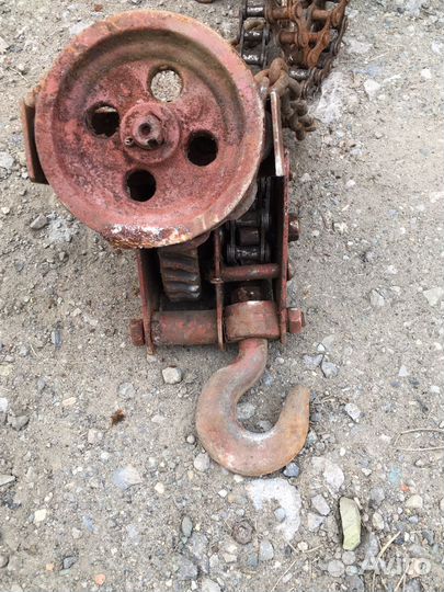 Таль цепная