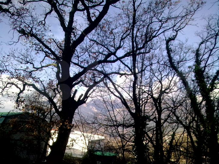 Участок 8,7 сот. (ИЖС)