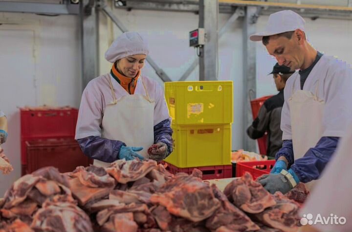 Работа разнорабочим на мясокомбинате(Вахта)