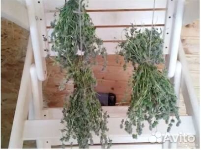 Травяные веники для парной бани. Чайные травы