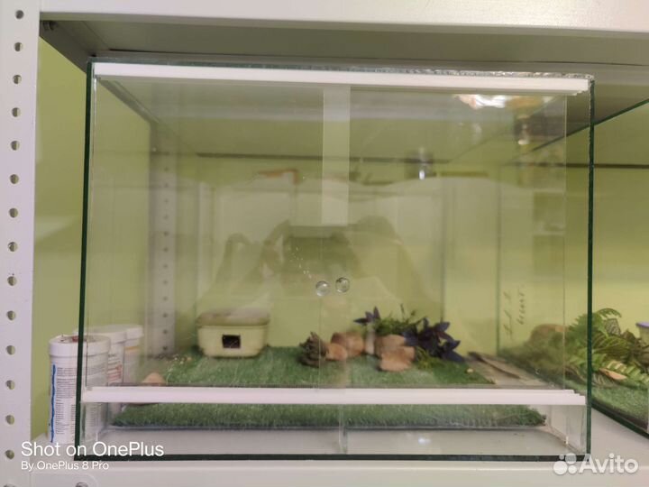 Террариумы