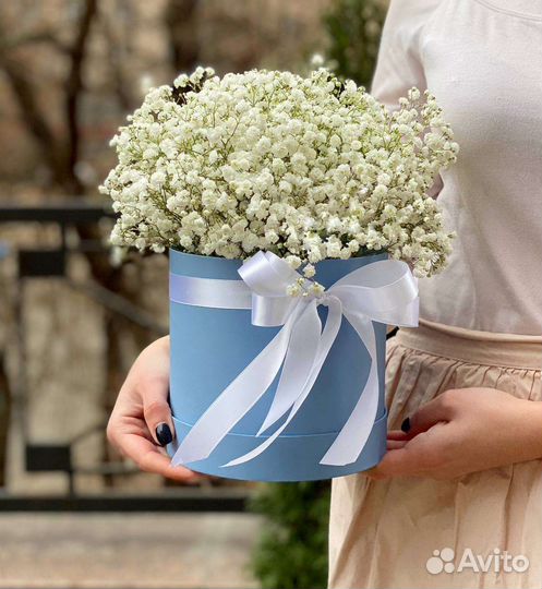 Букет из гипсофилы