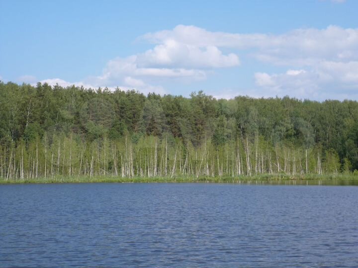 Участок 18 сот. (ИЖС)