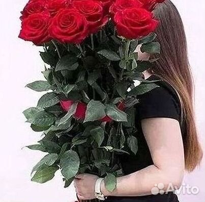 Розы Букеты Цветы Розы 31 101 151 201 Доставка