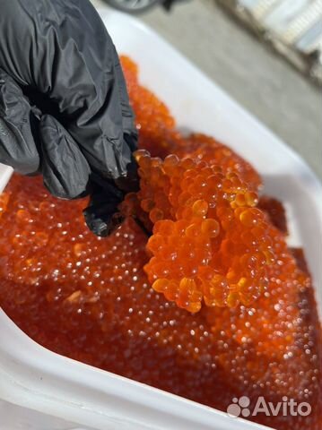 Икра красная