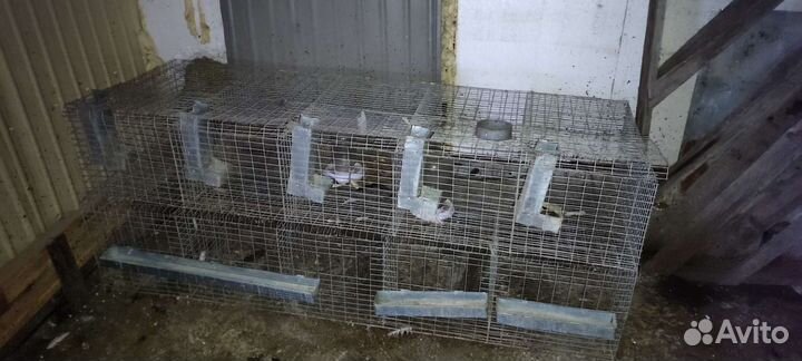 Клетка для кролика, кур