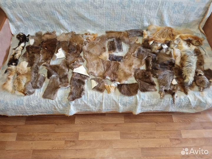 Шкуры, обрезки, бобёр,лиса