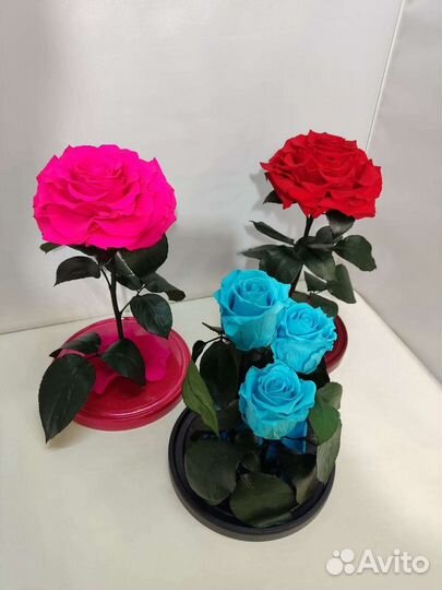 Розы оптом