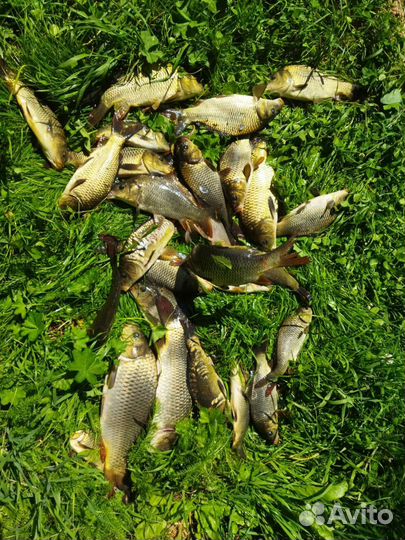 Изготовление. Фидерный монтаж для рыбалки