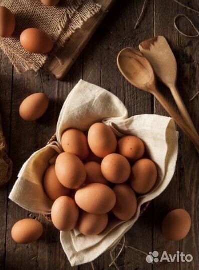 Яйцо куриное