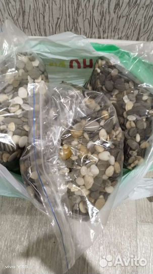 Грунт для аквариума