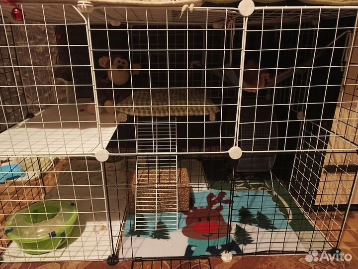 Шиншиллы и вольер