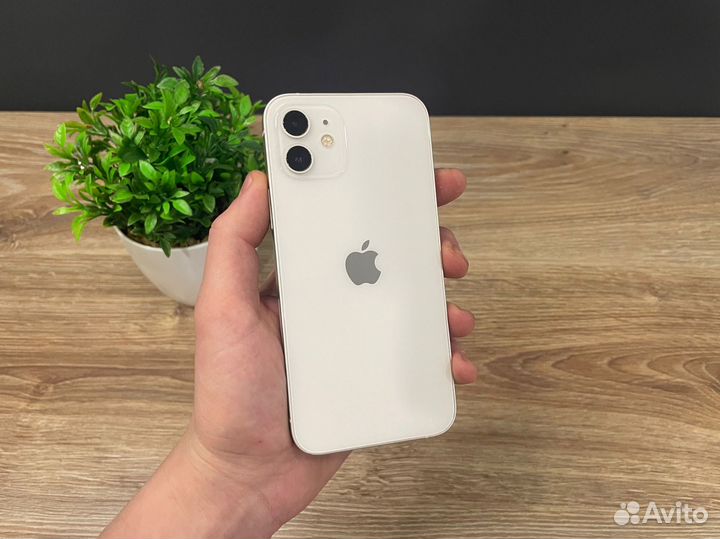 iPhone 12, 128 ГБ