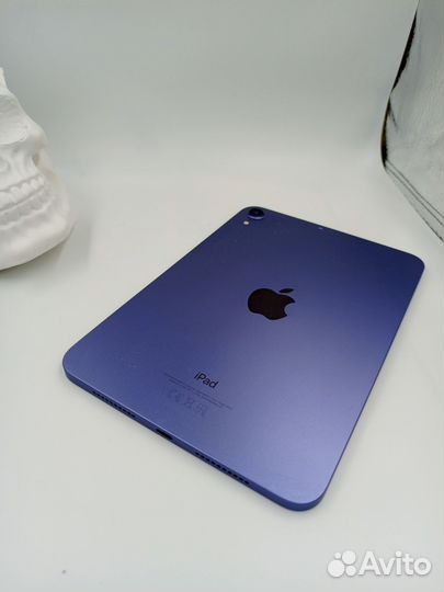 iPad mini