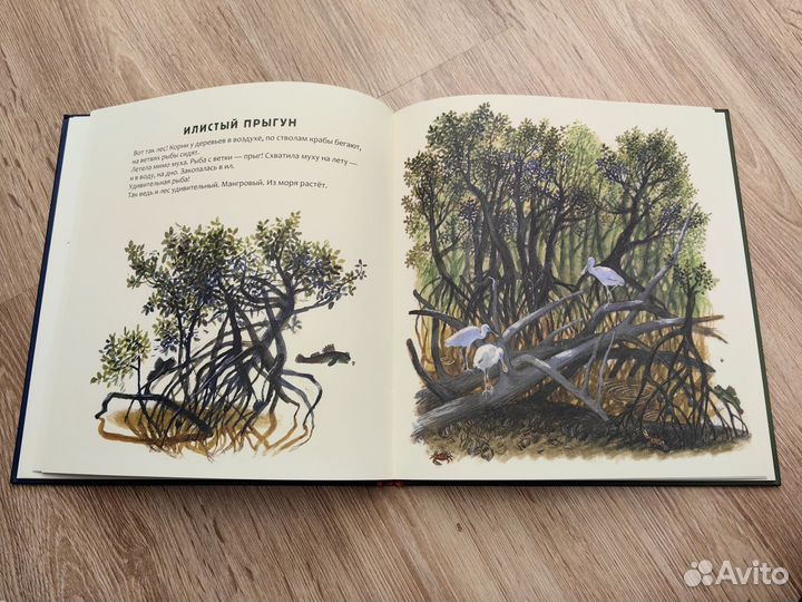 Сахарнов Кто живёт в тёплом море