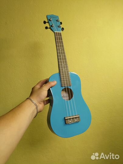 Укулеле сопрано, новое