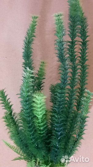 Декорации для аквариума