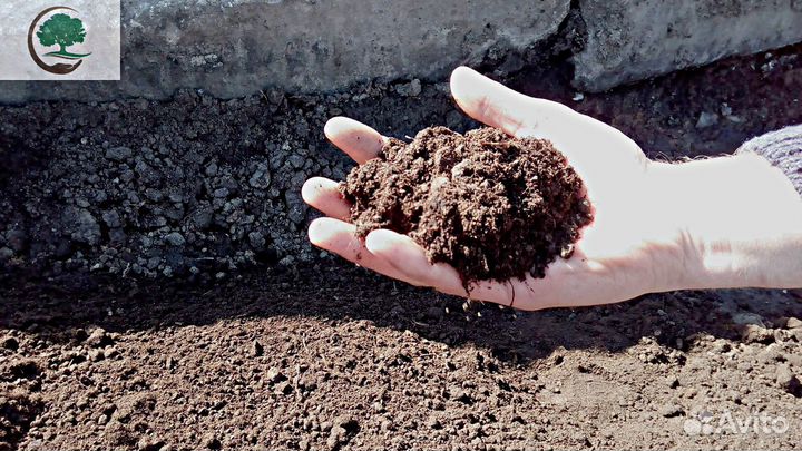 Грунт Плодородный