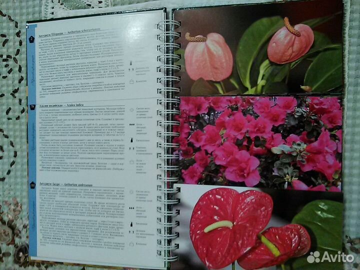 Книга о цветах для дома и сада