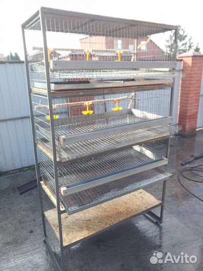 Клетки для перепелов бу