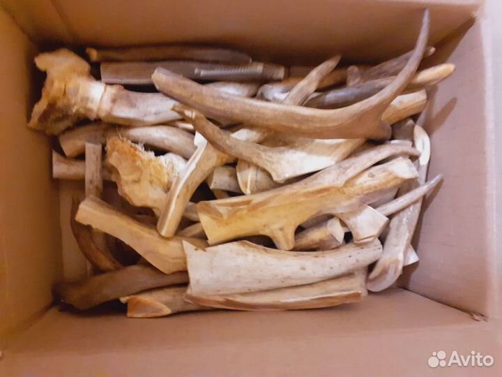 Корм для Собак.Рог Оленя для собак Погрызушка