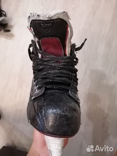 Коньки Bauer Vapor x500