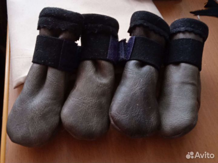 Сапожки для мелких собак