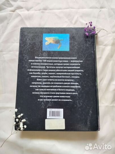 Энциклопедия про животных, учебник по дайвингу