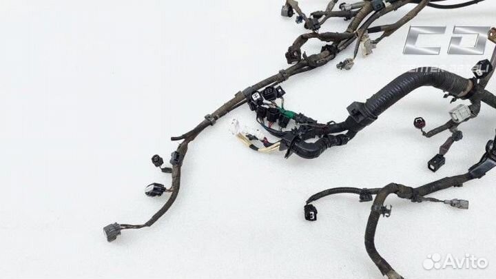 Проводка двигателя Toyota Land Cruiser 8212160W70