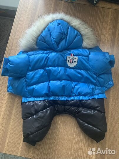 Одежда для маленьких собак s