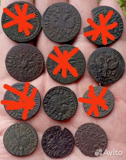 Денга Петра I 1702-1716 всего 12 шт