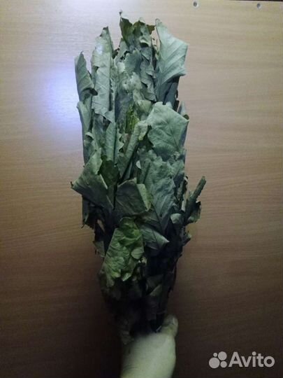 Веники для бани