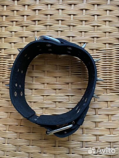 Ошейник для собак