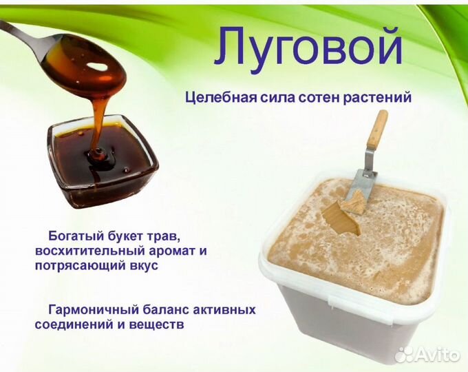 Алтайский мёд 2023 года (опт)