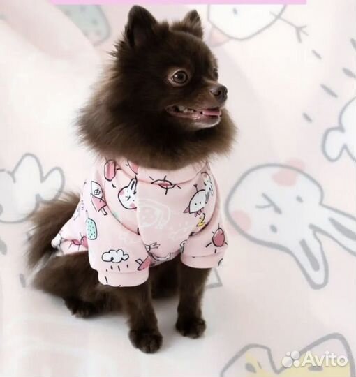 Ботинки и толстовки для маленькой собачки/щенка