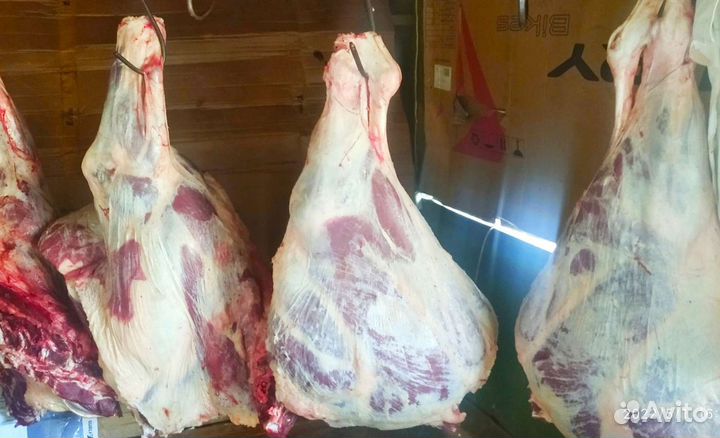 Говядина домашняя (бычки) с доставкой на дом