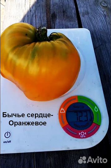 Семена томатов