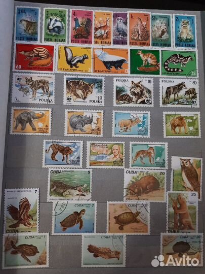 Альбом с марками