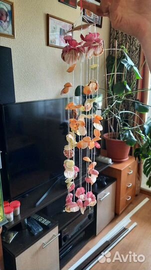 Музыка ветра из ракушек