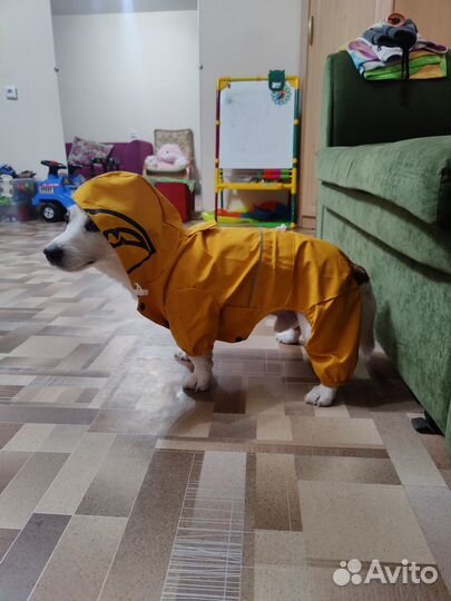 Комбинезон дождевик для собаки