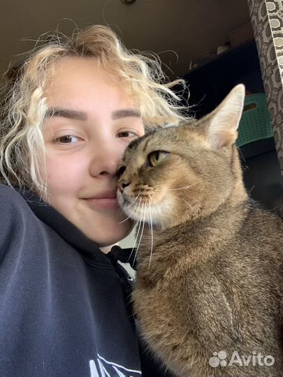 Кинолог Дрессировка Передержка животных