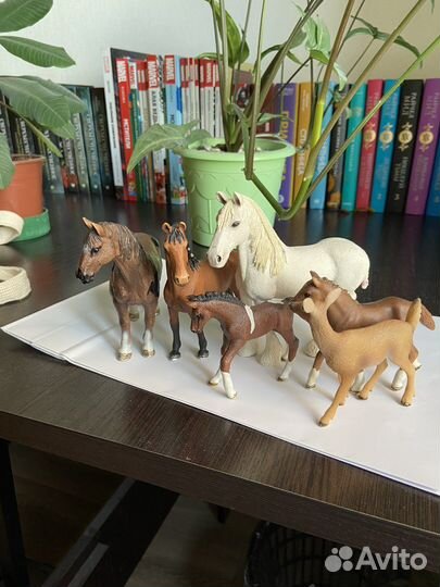 Лошади шляйх schleich
