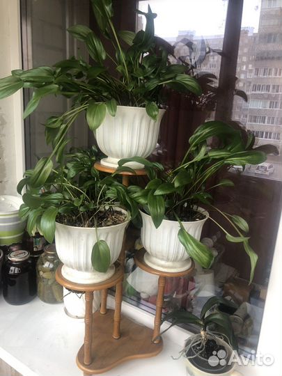 Подставка под цветы