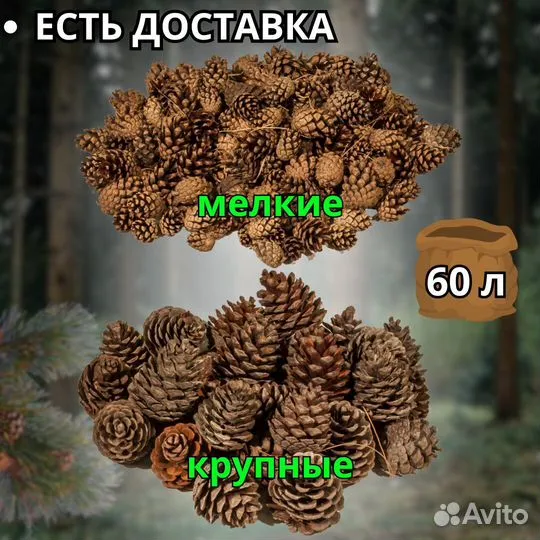 Сосновые шишки крупные / мелкие в наличии в Москве