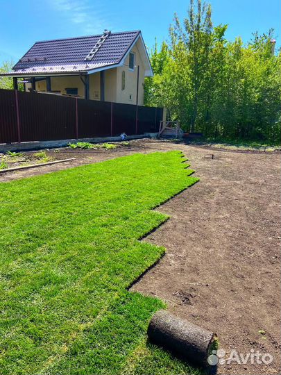 Рулонный газон и система Автополива