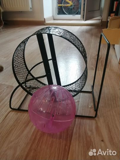 Колесо и шар для грызуна