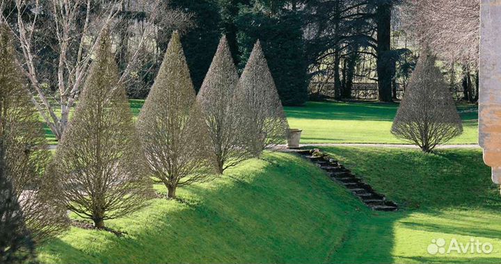 Стрижка кустарников