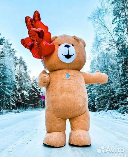 Поздравление от мишки Тедди и Чебурашки