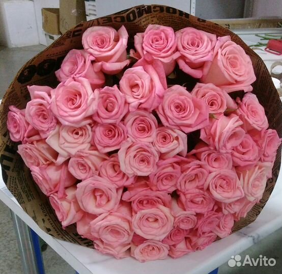 51 роза Ревиваль 50 см. Купить розы с доставкой