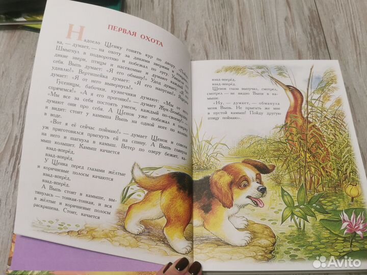 В. Бианки Сказки про животных